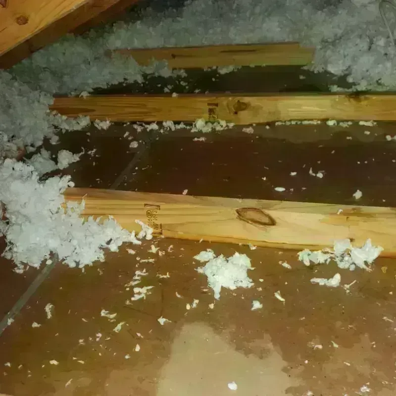 Attic Water Damage in Berry Creek, CA